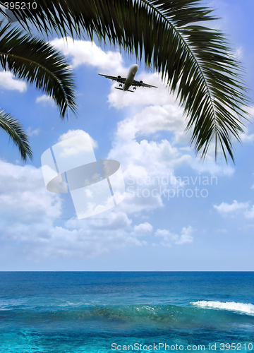 Image of Airplane over palm