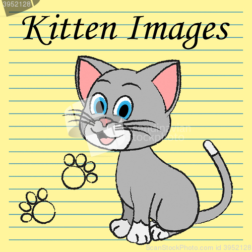 Image of Kitten Images Shows Domestic Cat And Cats