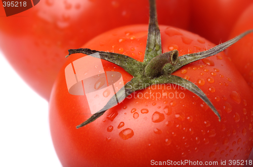 Image of Tomato on white background