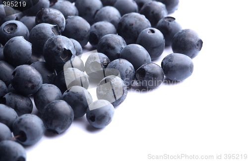 Image of blueberry on white