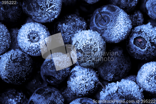 Image of Blueberries