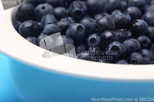 Image of Blueberries