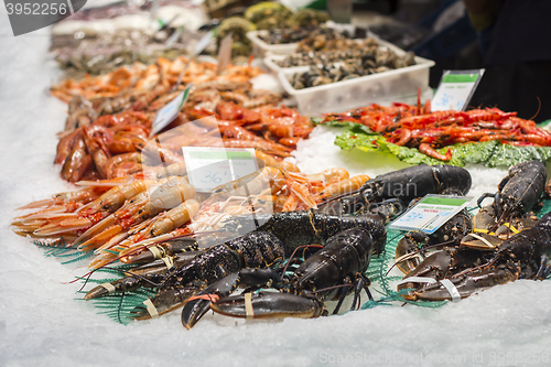 Image of Lobsters, shrimps and prawns, fresh seafood