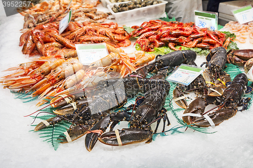 Image of Lobsters, shrimps and prawns