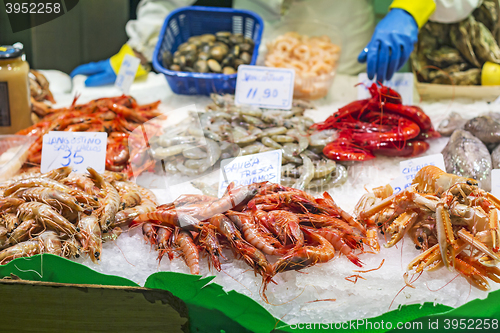 Image of Shrimps and prawns in the fish market