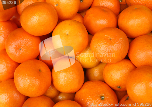 Image of Big oranges