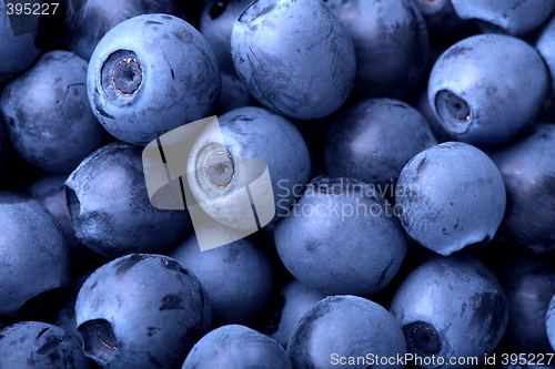 Image of Blueberries