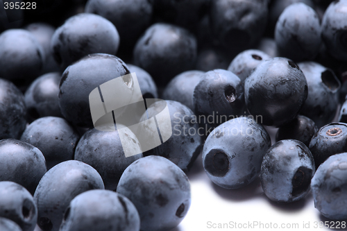 Image of Macro shot of wet fresh blueberry