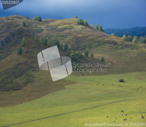 Image of Altay mountains in Siberia