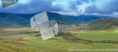 Image of Altay mountains in Siberia