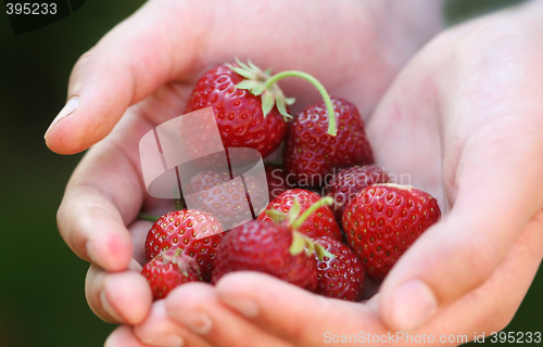 Image of strawberries