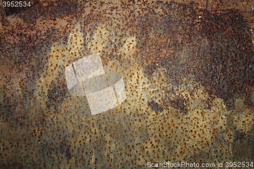 Image of traces left by brown bear on rusty metal door