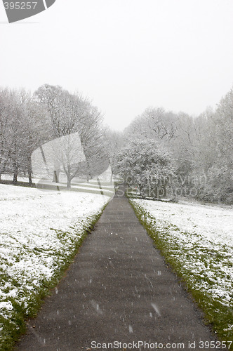 Image of Winter path