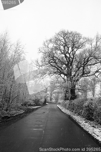 Image of Winter lane