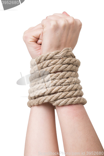 Image of Tied hands, isolated  white