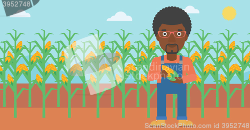 Image of Farmer holding corn.