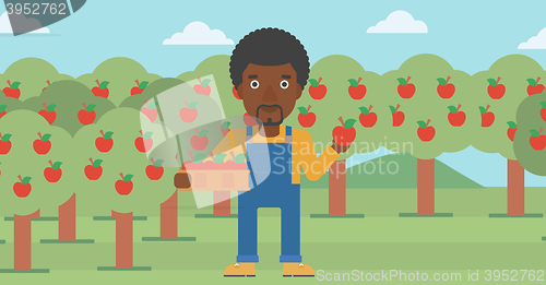 Image of Farmer collecting apples.