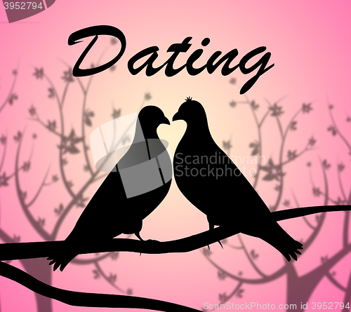 Image of Dating Doves Means Internet Net And Partner