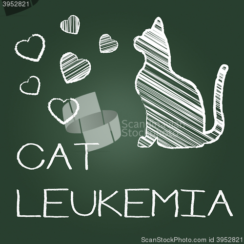 Image of Cat Leukemia Represents Malignant Pedigree And Cancer