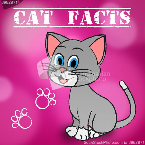 Image of Cat Facts Indicates Details Kitty And Pets