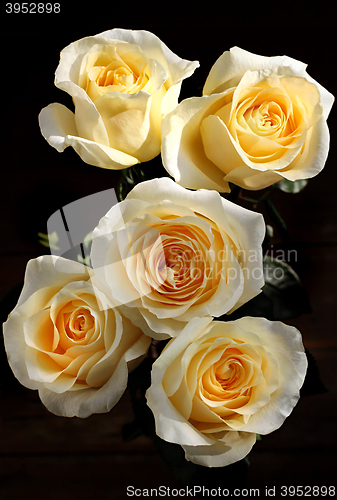 Image of Bouquet of beautiful tea roses
