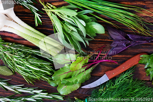 Image of aroma herb