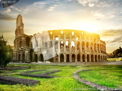 Image of Bird over Colosseum