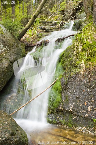 Image of Stream in the Green