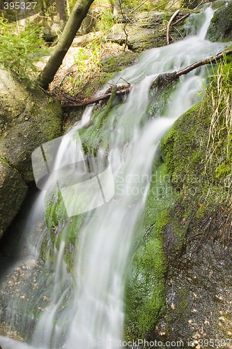 Image of Stream in the Green