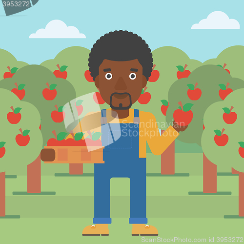 Image of Farmer collecting apples.