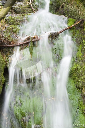 Image of Stream in the Green