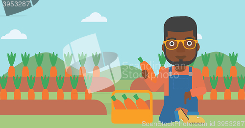 Image of Farmer collecting carrots.