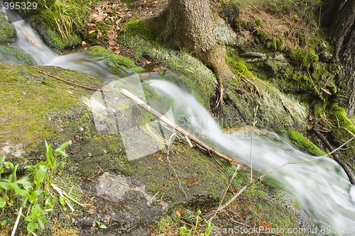 Image of Stream in the Green