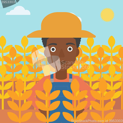 Image of Man in wheat field.