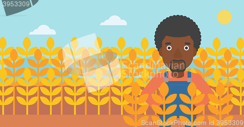 Image of Man in wheat field.