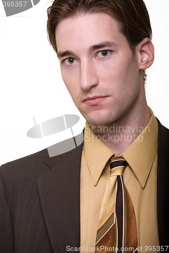 Image of Business man portrait