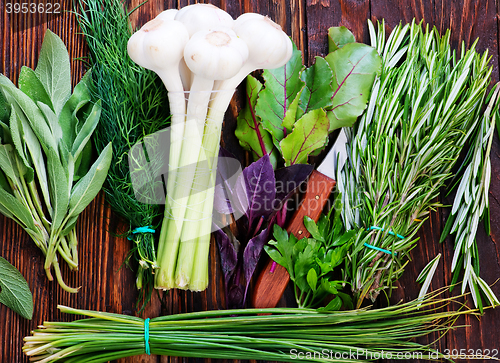 Image of aroma herb