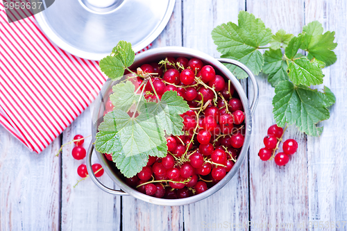 Image of red currant