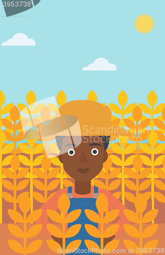 Image of Man in wheat field.