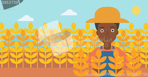 Image of Man in wheat field.