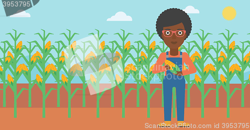 Image of Farmer holding corn.