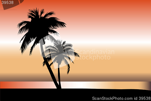 Image of Palm Tree Horizon