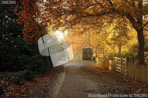 Image of Autumn