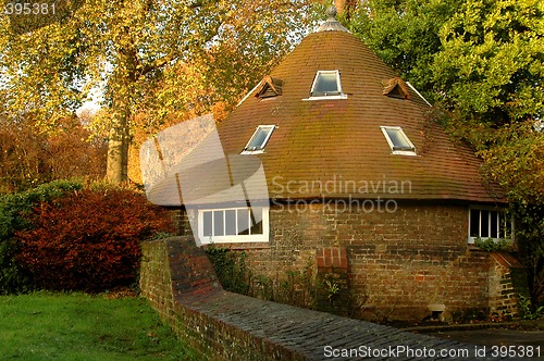 Image of House In The Forest