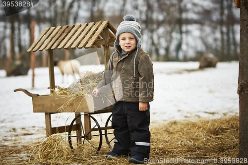 Image of Boy on the farm