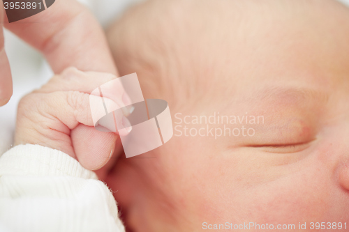 Image of Newborn