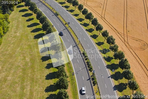 Image of Road in nature