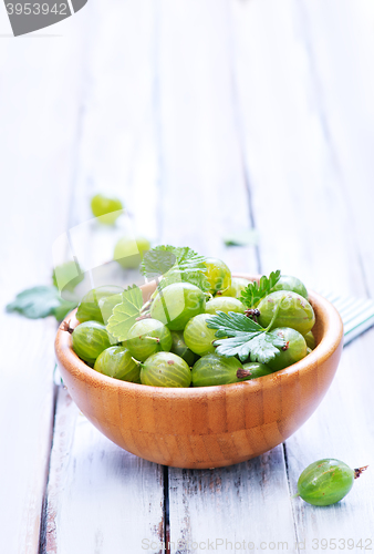 Image of green gooseberry