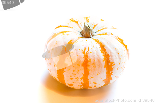 Image of Miniature Pumpkin