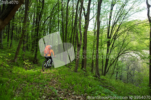 Image of Biker on the forest road